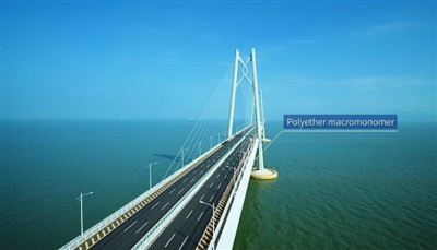 ระบบ EPEG รองรับภาพขาวดำหรือไม่?